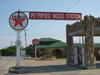 Texaco - Petrified Wood Gas Station in Decatur Texas