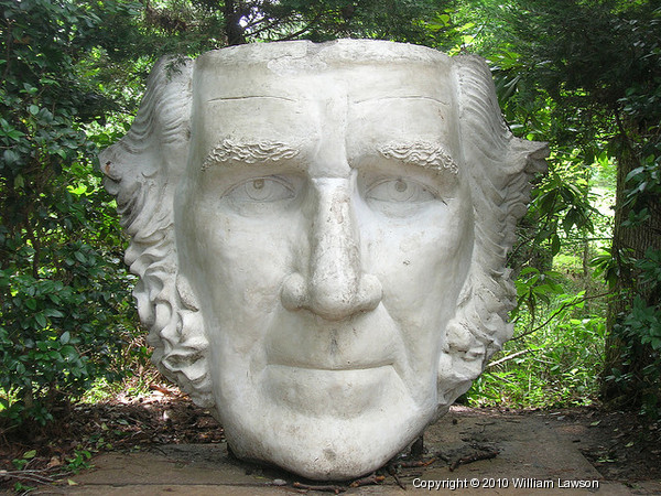 Sam Houston's Face