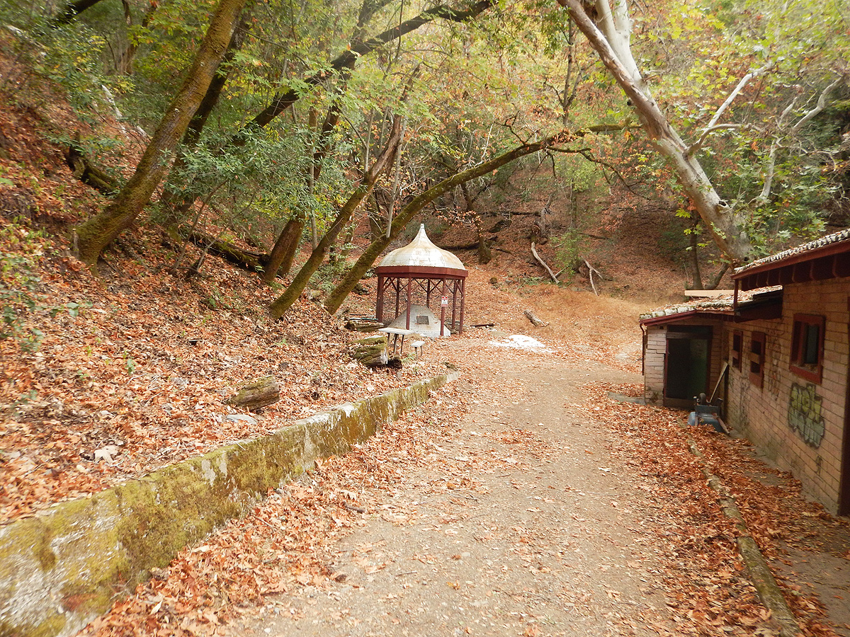 Gilroy Hot Springs Gazebo