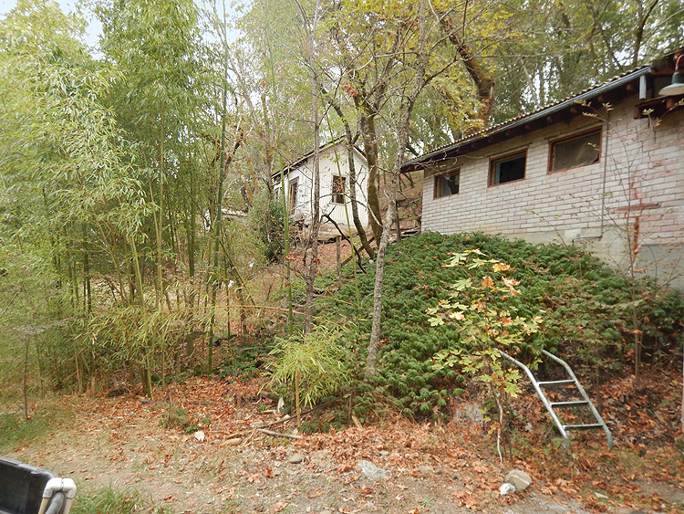 View Behind Minnesota Cabin and Bathhouse