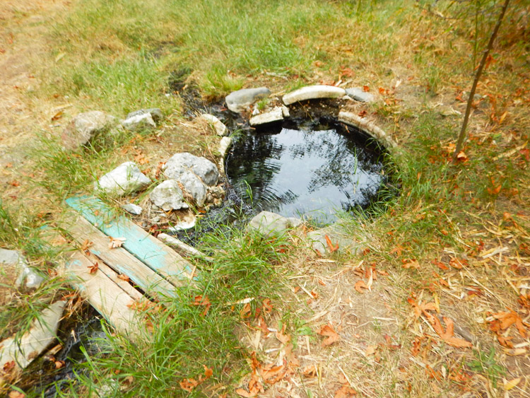 Hot Springs Pool