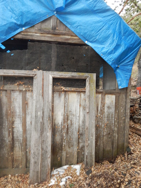 Blue Tarp Covering Cabin