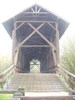 Brown Trusses on Felton Bridge