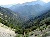 The Angeles National Forest