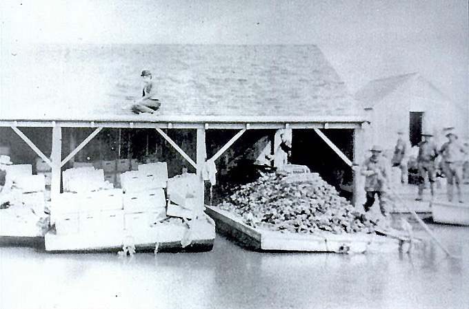 Mulford Landing Oyster Sheds, San Leandro