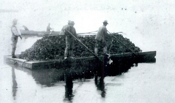 Oyster Barge at San Leandro