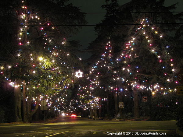 Christmas Tree Lane in Altadena