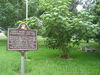 First Ward Justice Courthouse and Jail Historical Marker