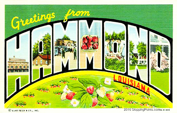 Hammond, Louisiana Postcard