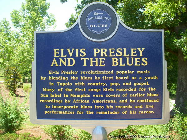 Elvis Presley and The Blues