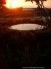 Water Pool in Vicksburg