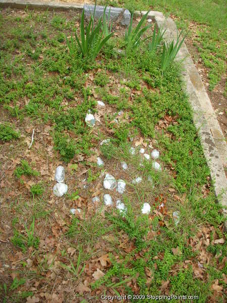 Mussel Shells Decorating Graves