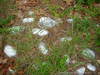 Grave Shells in Corinth Shiloh Cemetery