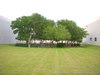 Hitch Cemetery, Texas