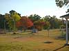 Minters Chapel, fall trees