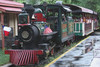 Train at Six Flags