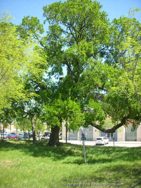 Thomas Easter Cemetery