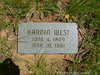 Scattered Stone Markers - Southlake Cemetery