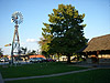 Grapevine windmill