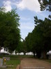 Short Lane Up To Letot Cemetery