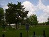 Letot Cemetery and Historical Marker