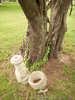 Broken Urn, Sowers Cemetery