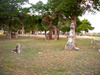 Washington County Cemetery
