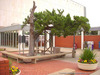 Brazos Courthouse Tree Marker